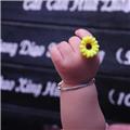 持久清新