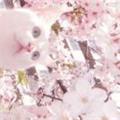  烟花巷陌 