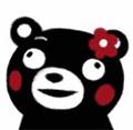  确信 