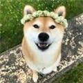  村里小祖宗 