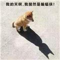 放弃