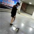  暴力美学 
