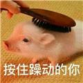傲世万物