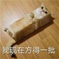 残舞 