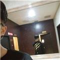 飞鸟各投林。