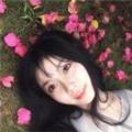 拯救胡萝卜计划