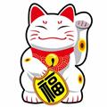  把酒祝东风 