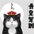 記憶じ殘缺