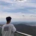  野味浪友 