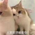  萝莉杀手 