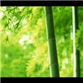  逗比帅锅 