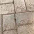  你眼睛里没有我 