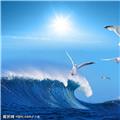  记忆之城 