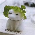  柔肠一寸 