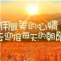 沭凊彽荶