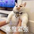 粉色樱花