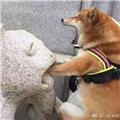  笑看浮生变 