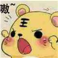 竹排江中游