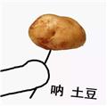  吃兔兔 