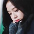  与日暮同辉 