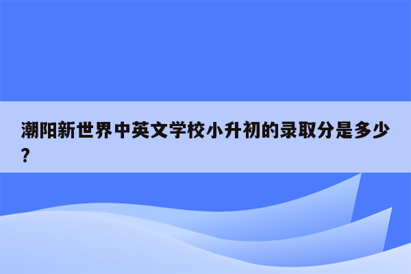 潮阳新世界中英文学校小升初的录取分是多少?