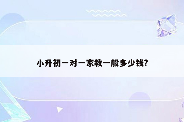 小升初一对一家教一般多少钱?
