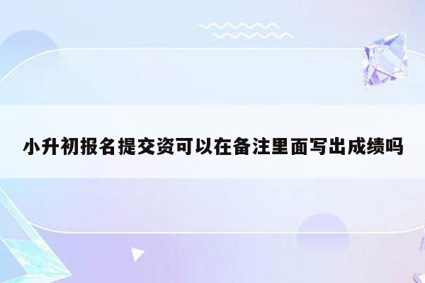 小升初报名提交资可以在备注里面写出成绩吗