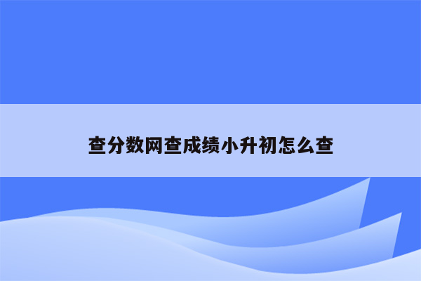 查分数网查成绩小升初怎么查