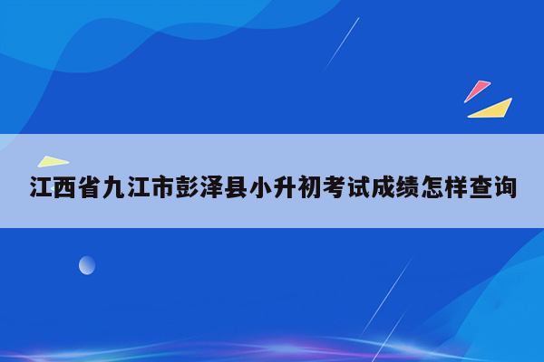江西省九江市彭泽县小升初考试成绩怎样查询