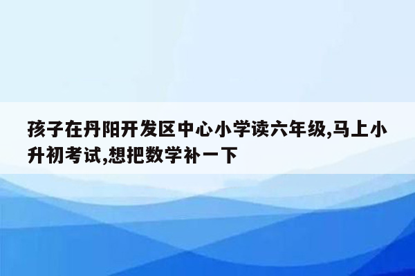 孩子在丹阳开发区中心小学读六年级,马上小升初考试,想把数学补一下
