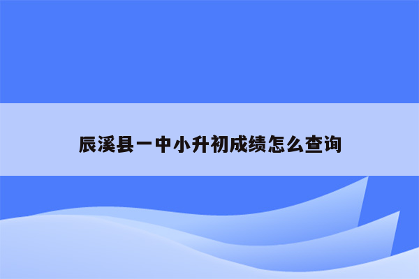 辰溪县一中小升初成绩怎么查询