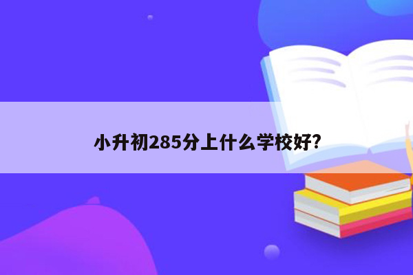 小升初285分上什么学校好?