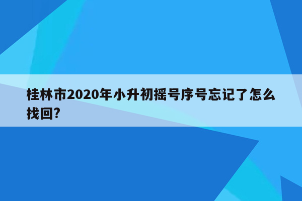 桂林市2020年小升初摇号序号忘记了怎么找回?