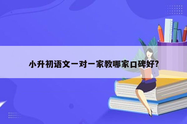 小升初语文一对一家教哪家口碑好?