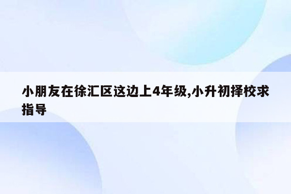 小朋友在徐汇区这边上4年级,小升初择校求指导