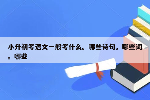 小升初考语文一般考什么。哪些诗句。哪些词。哪些