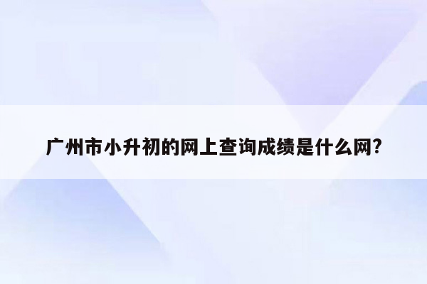 广州市小升初的网上查询成绩是什么网?