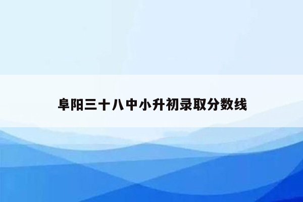 阜阳三十八中小升初录取分数线