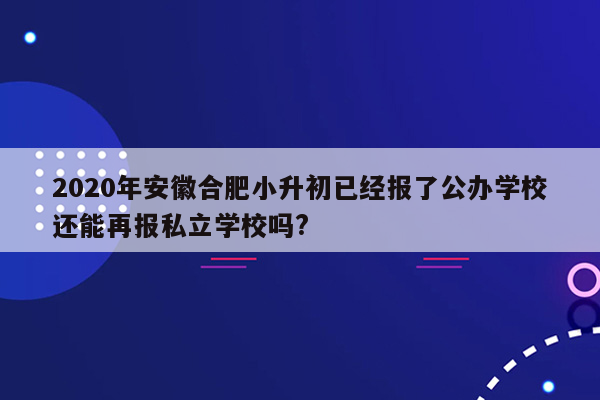 2020年安徽合肥小升初已经报了公办学校还能再报私立学校吗?