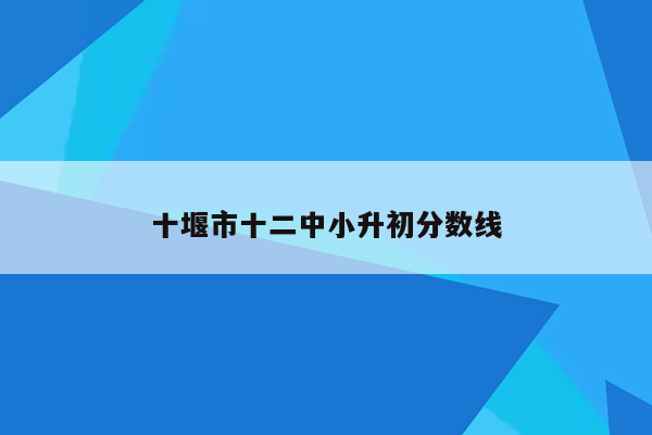 十堰市十二中小升初分数线