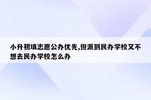 小升初填志愿公办优先,但派到民办学校又不想去民办学校怎么办