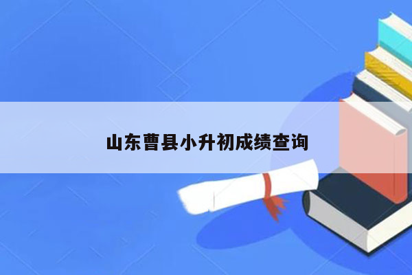 山东曹县小升初成绩查询