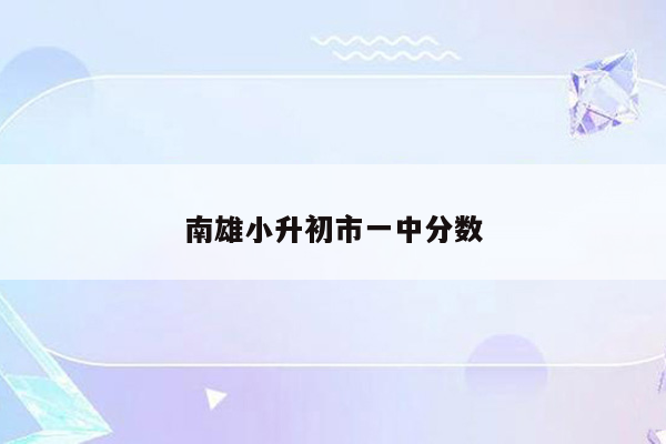 南雄小升初市一中分数