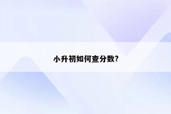 小升初如何查分数?