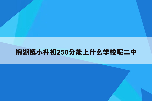 棉湖镇小升初250分能上什么学校呢二中