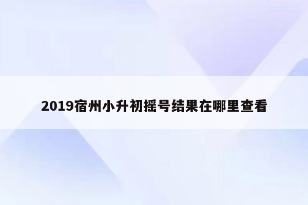 2019宿州小升初摇号结果在哪里查看