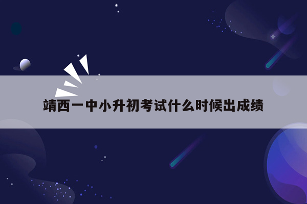 靖西一中小升初考试什么时候出成绩
