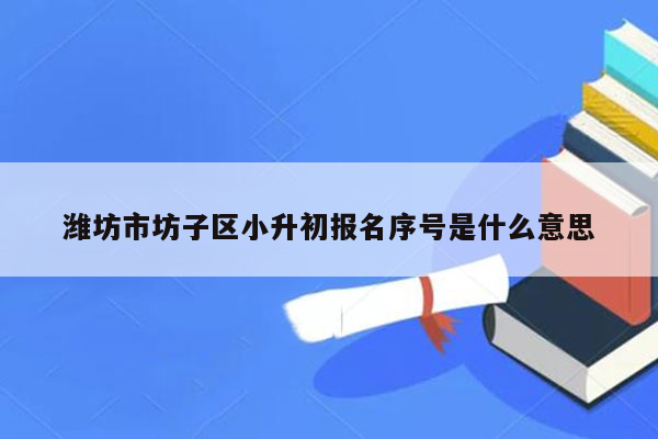 潍坊市坊子区小升初报名序号是什么意思