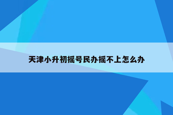 天津小升初摇号民办摇不上怎么办
