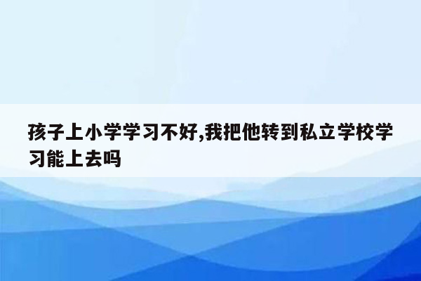 孩子上小学学习不好,我把他转到私立学校学习能上去吗